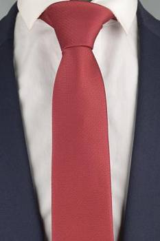 Галстук 0829