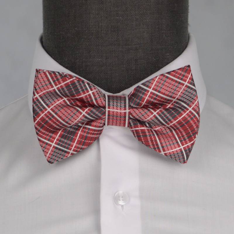 Бабочка мужская 0091