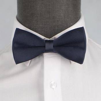 Бабочка мужская 0019