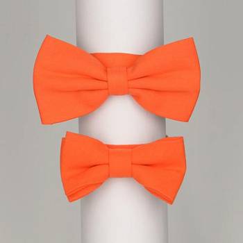 Бабочки FamilyLook 0007