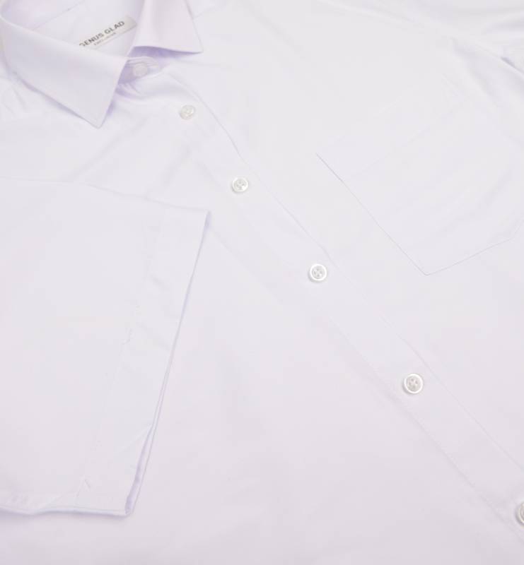 Рубашка мужская Genus Glad 179TGT к/р